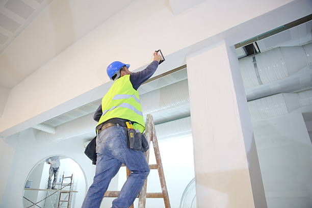 Reliable Oreana, IL Dry wall and painting Solutions